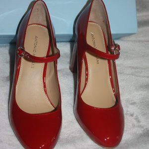 Antonio  Melani shoes